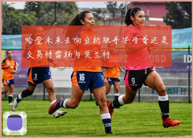 哈登未来去向分析联手字母哥还是交易特雷杨与莫兰特
