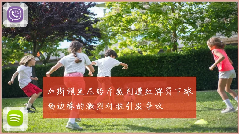 加斯佩里尼怒斥裁判遭红牌罚下球场边缘的激烈对抗引发争议