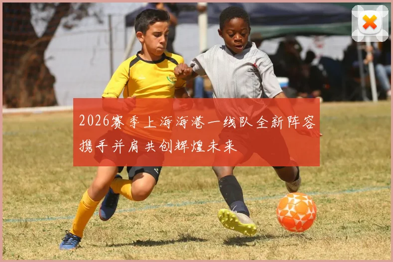 2026赛季上海海港一线队全新阵容携手并肩共创辉煌未来